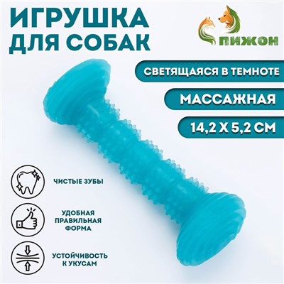 Жевательная игрушка для собак «Палка», светящаяся, массажная, 14.2×5.2 см, голубая