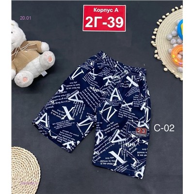 шорты 2053629-4