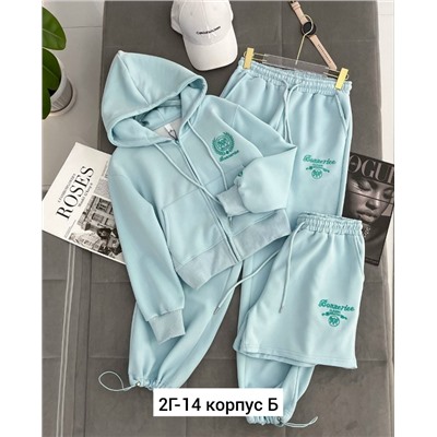 Спортивный костюм #23040727