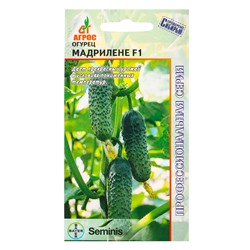 Семена Огурец "Мадрилене" F1 8 шт