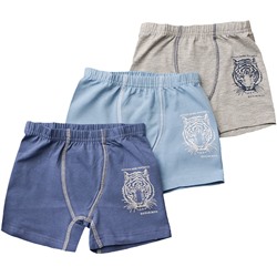 310699 (Трусы для мальчика боксеры, Baykar )