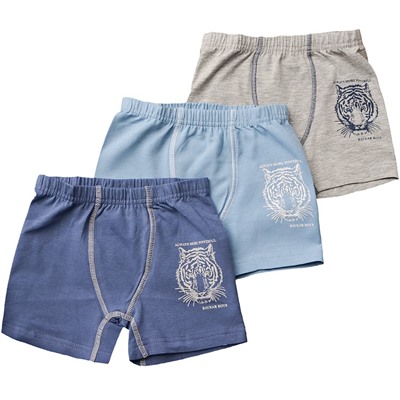 310699 (Трусы для мальчика боксеры, Baykar )