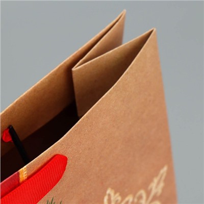 Пакет подарочный новогодний крафтовый «Новогодний подарок», M 26×30×9 см