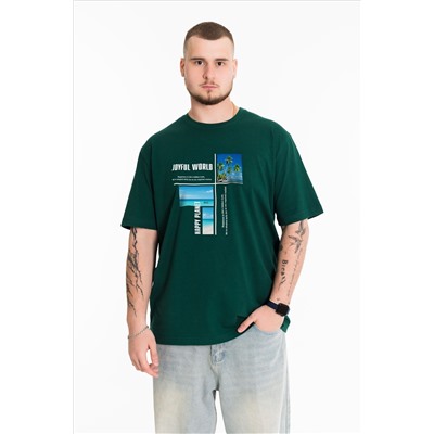 Футболка с принтом  М126038Пз