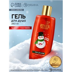 Гель для душа, 250 мл, аромат пряного глинтвейна, URAL LAB