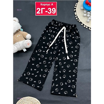 штаны 2059357-1