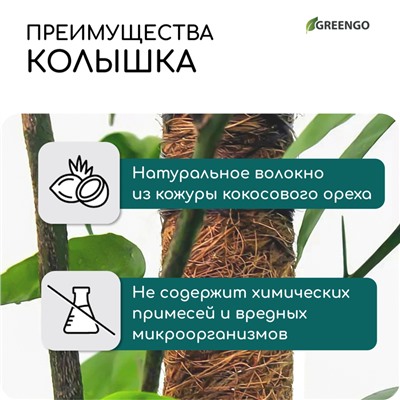 Опора для подвязки растений, h=60 см, d=5 см, кокосовая, Greengo