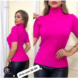 Водолазка 2050888-1