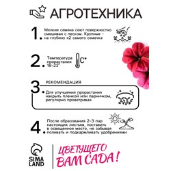 Семена цветов  Петуния Суперкаскадная "Бургунди", ц/п,  F1, 7 шт