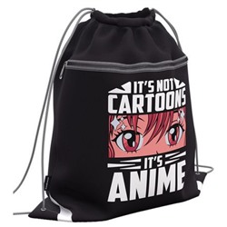 Сумка для сменной обуви 41х50 см "It`s Anime" с карманом на молнии 60415 ErichKrause