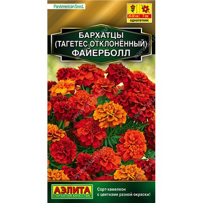 1319A Бархатцы Файерболл отклоненные 5 шт