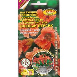 Настурция Спелый персик горшечная карлик. (Аэлита)
