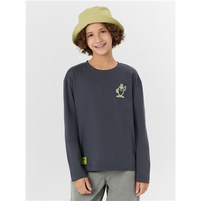 ЛОНГСЛИВ ДЛЯ МАЛЬЧИКОВ (2ШТ.) 123446-2