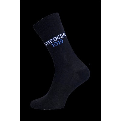 Классические БРЕСТСКИЕ НОСКИ 4200 EVERY