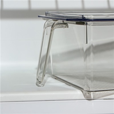 Контейнер для холодильника с крышкой и ручкой RICCO, 32×14,5×10 см