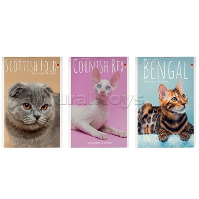 Блокнот А6 40 л. "Кошки" 3 вида