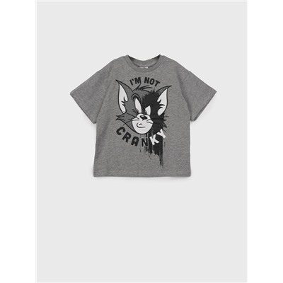 Фуфайка трикотажная для мальчиков (футболка)