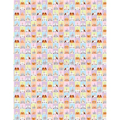 Упаковочная бумага "Bithday friends", глянц. 70*100см, 80г/м2