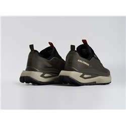 Кроссовки Salomon Odyssey ELMT Advanced
