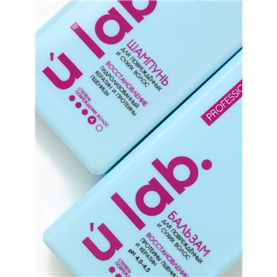 Подарочный набор «Восстановление»: шампунь 250 мл, бальзам 250 мл, URAL LAB