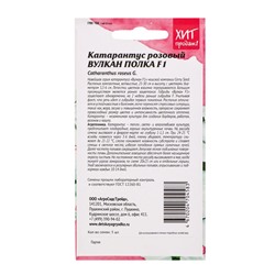 Семена цветов Катарантус розовый "Вулкан Полка F1", 5 шт