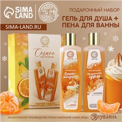 Подарочный набор «Сочное настроение»: гель для душа и пена для ванны, 2×250 мл, URAL LAB