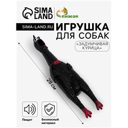 Игрушка для собак «Задумчивая курица», 28 см, пищащая, цвет МИКС