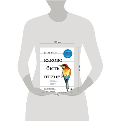 Эксмо Дэвид Аллен Сибли "Каково быть птицей: о полетах и гнездовании, кормлении и пении. Как и чем живут самые известные птицы на земле"