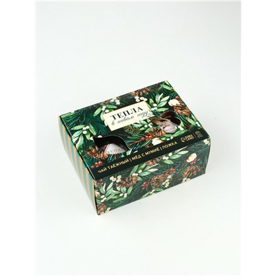 Подарочный набор новогодний «Тепла», мёд с мумие 250 г, чай 50 г, ложка