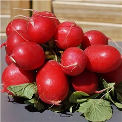 5072D Редис Кармен 1гр