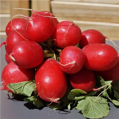 5072D Редис Кармен 1гр