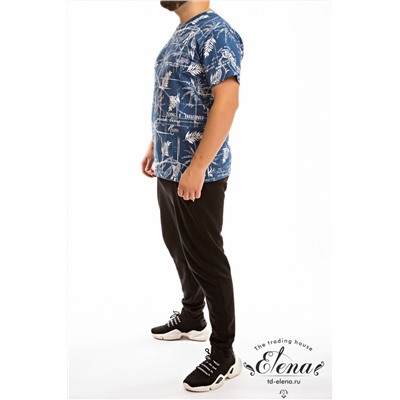 Футболка М12016в