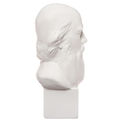 Гипсовая фигура известные люди: Бюст Салтыкова-Щедрина 20×9.5×10.5 см