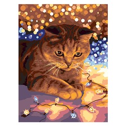 Набор для раскрашивания по номерам 40х30 "Котик с огоньками" (со светодиодами)