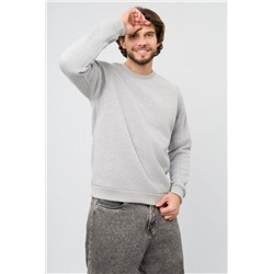 Толстовка мужская Бронд Е Арт. 10229