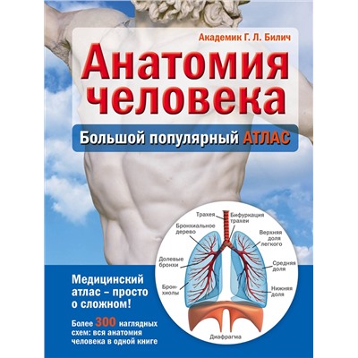 Эксмо Г. Л. Билич "Анатомия человека: большой популярный атлас"