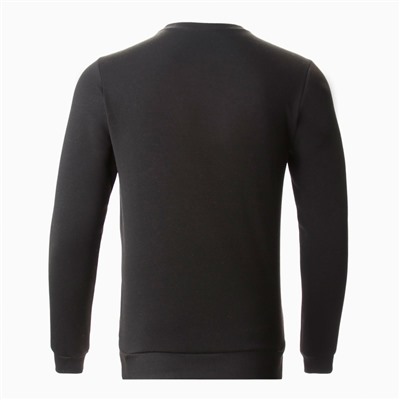 Свитшот мужской НАЧЁС, цвет чёрный, размер 46