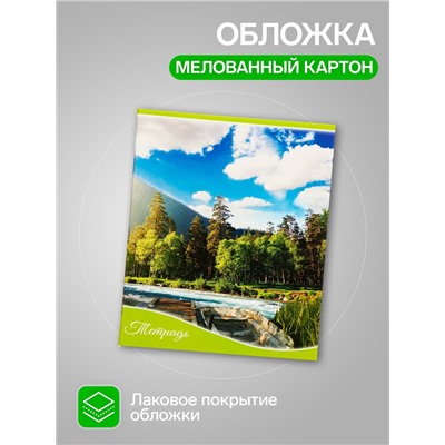 Комплект тетрадей 5 штук, 36 листов в клетку Calligrata «Времена года», обложка мелованный картон, блок офсет