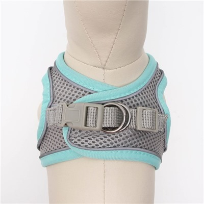 Шлейка с поводком, размер S, ОШ 33-36 см, ОГ 35-40 см, поводок150×1.5 см, ОШ 33-36 см, ОГ 35-40 см, быстросъёмная, мягкая, бирюзовая