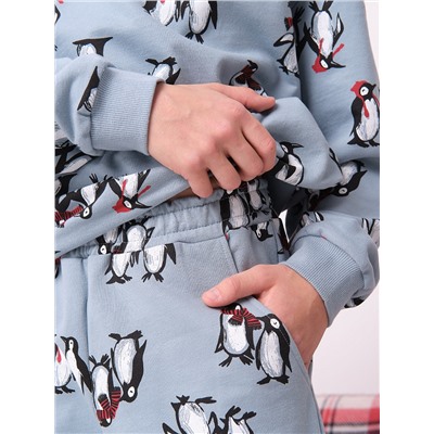 BFANP3367U (Комплект для мальчика, Pelican )
