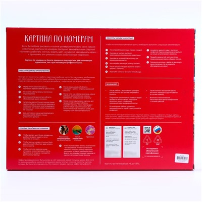 Картина по номерам «Дворец Цвингер», холст на подрамнике, 40×50 см