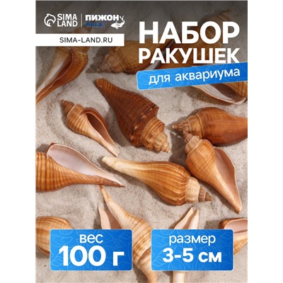Набор ракушек, 3 - 5 см, 100 г