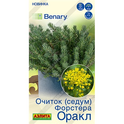 Очиток Оракл форстера (Код: 93591)