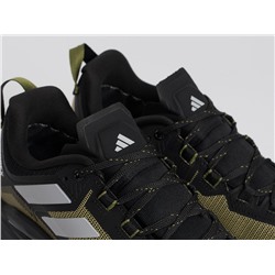 Кроссовки Adidas Terrex Skychaser Tech Low Gtx