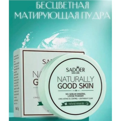 Пудра #23081065