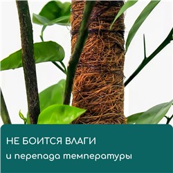 Опора для подвязки растений, h=60 см, d=5 см, кокосовая, Greengo