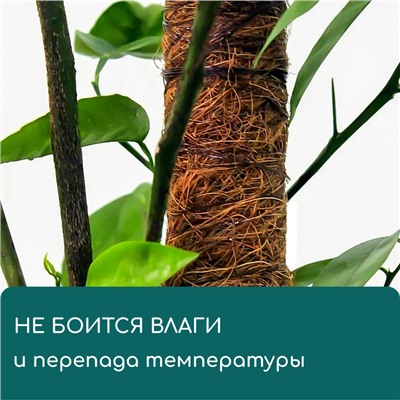 Опора для подвязки растений, h=60 см, d=5 см, кокосовая, Greengo