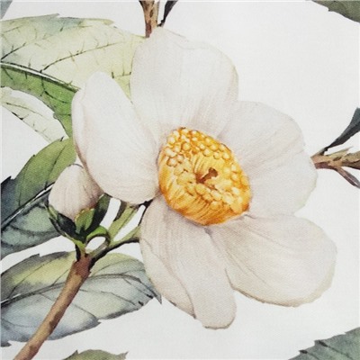 Фартук «Этель» Camellia, 60×70 см, саржа 190 г/м²