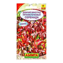 Семена цветов Девичий виноград Серенада Мн, Ц/П,10 шт.