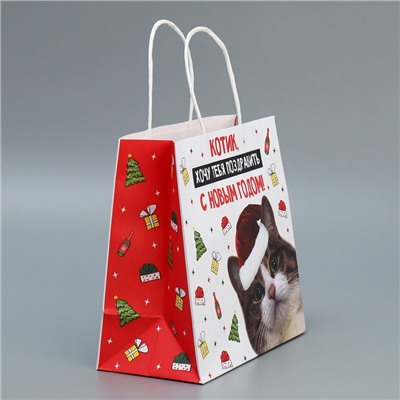 Пакет подарочный новогодний крафтовый «Котик», 22×22×11 см